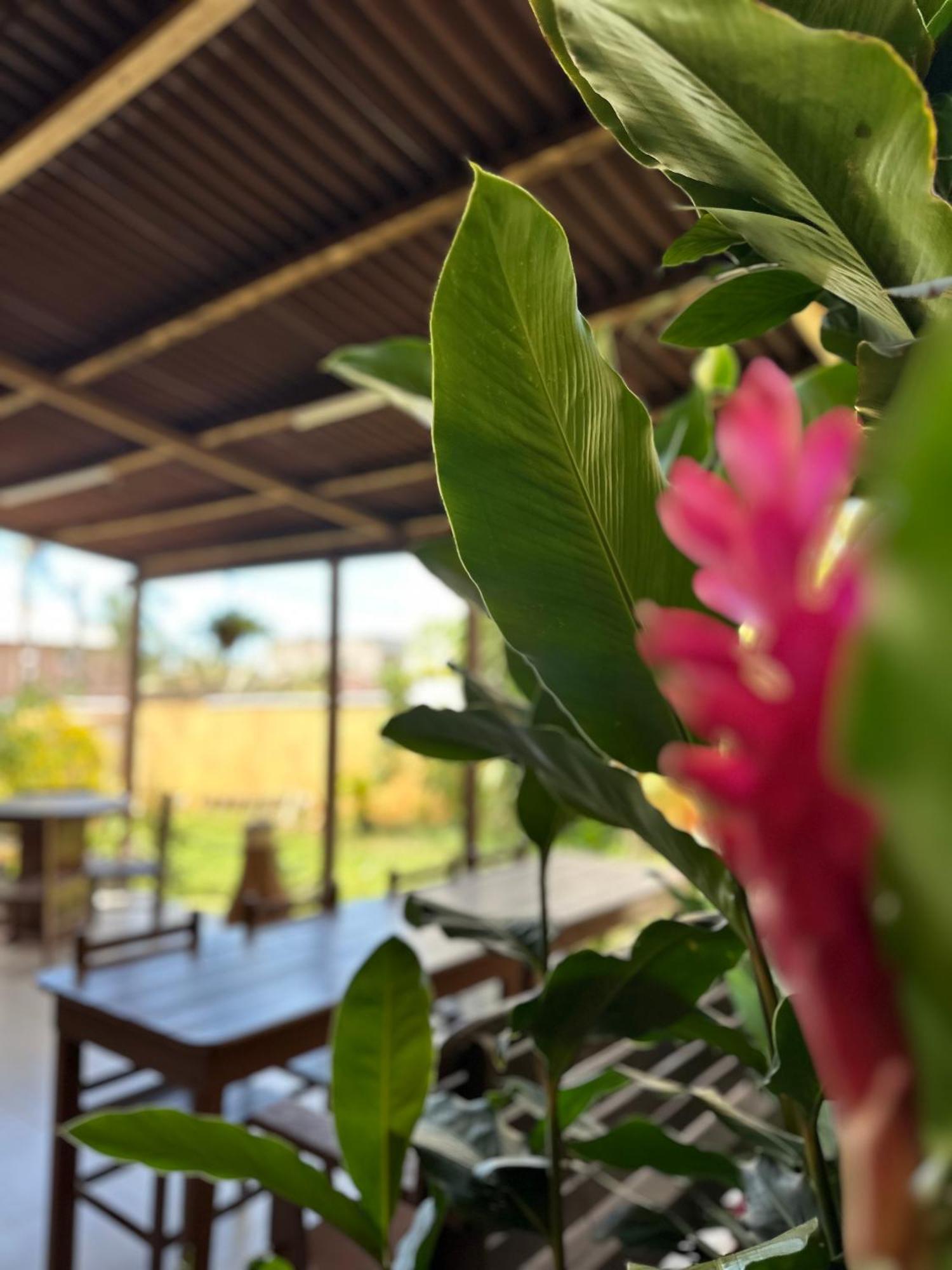Suites Do Pero Cabo Frio Ngoại thất bức ảnh